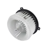 Heater Blower Motor and Fan