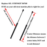 6 Gas Struts
