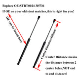 6 Gas Struts