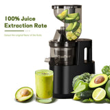 Electric Juicer Machine Slow Juicer Cold Press Squeezer Slag Juice Separator