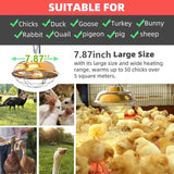 Chicken Coop Heat Lamp 150W-300W Brooder Heating for Chicks Hanging Halogen lamp