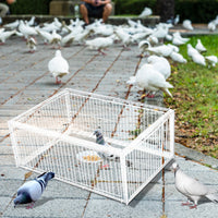 Feral Pigeon Trap Humane Pest Control Multi Trap Catch Foldable W/ Four Channel
