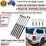 6 Gas Struts