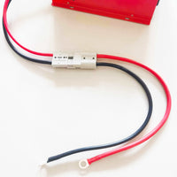 Lithium LiFePO4 Battery Charger 29.2V Quickly Charging