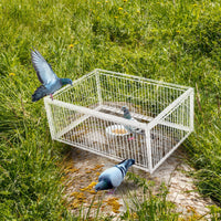 Feral Pigeon Trap Humane Pest Control Multi Trap Catch Foldable W/ Four Channel