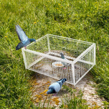 Feral Pigeon Trap Humane Pest Control Multi Trap Catch Foldable W/ Four Channel