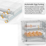24 Egg Incubator Full Automatic Temperature Control Chicken Duck Quail Poultry