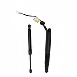 Model 3 2017-2023 Powered boot struts (a pair)