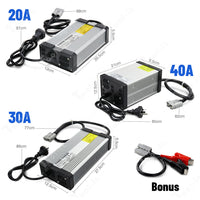 Lithium AC/DC 12V 20A/30A/40A Battery Charger For Lithium Iron LiFePO4 OZ